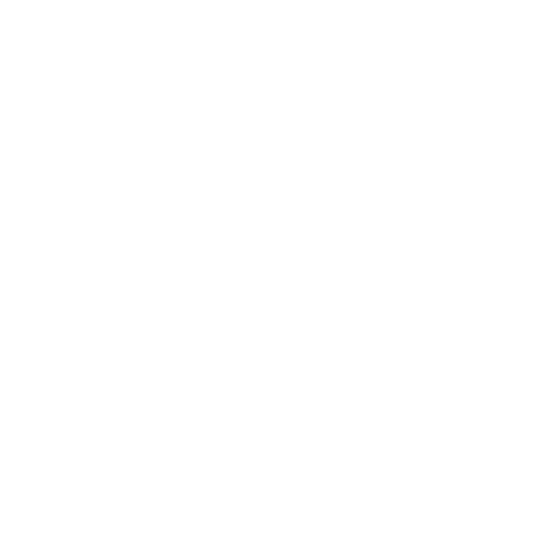 Logo blanc Photopea
